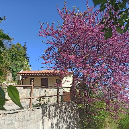 Forestrock Studio For Sale Too Sparte Extérieur photo