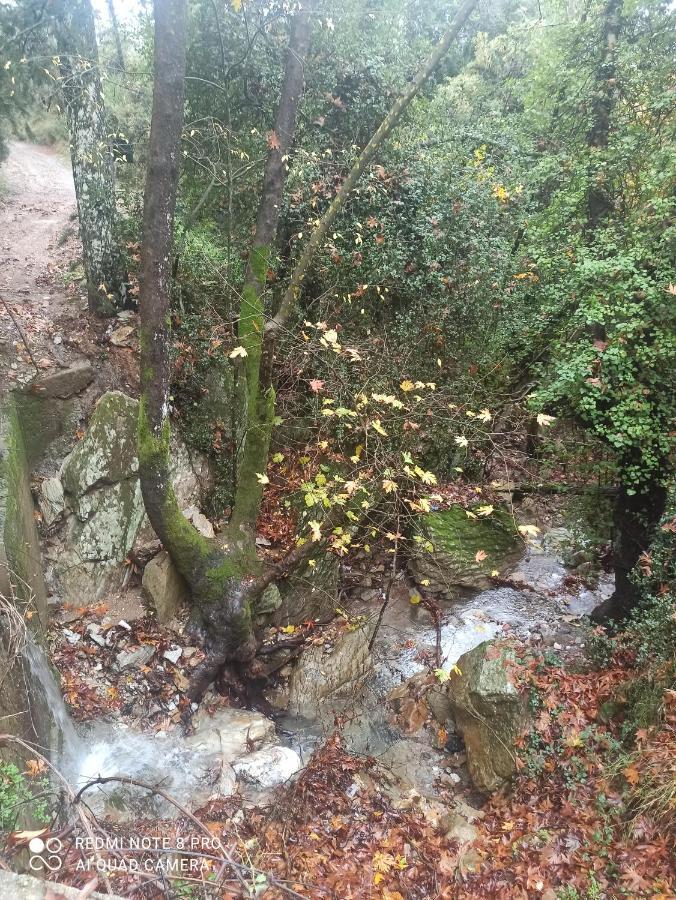 Forestrock Studio For Sale Too Sparte Extérieur photo