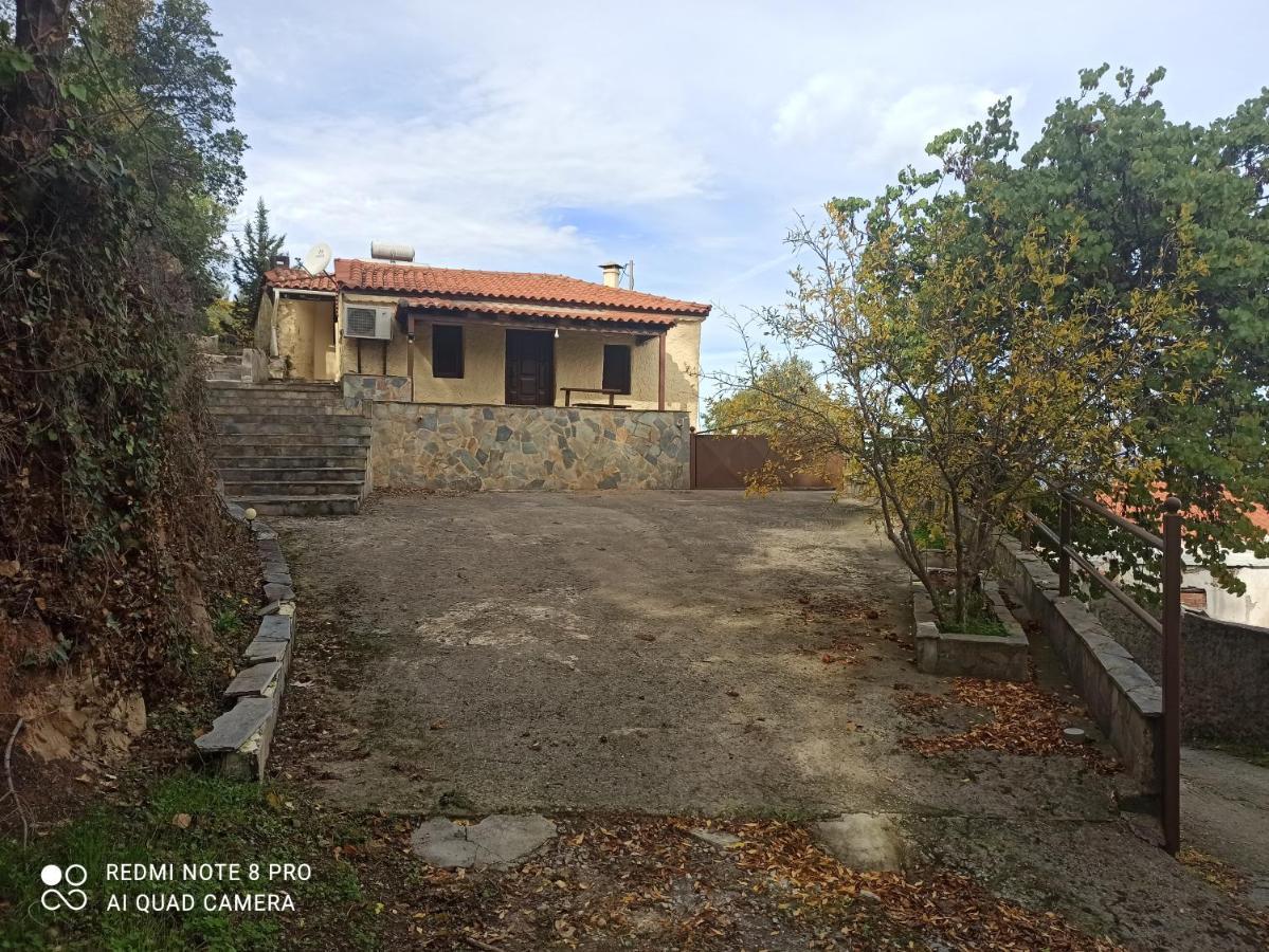 Forestrock Studio For Sale Too Sparte Extérieur photo