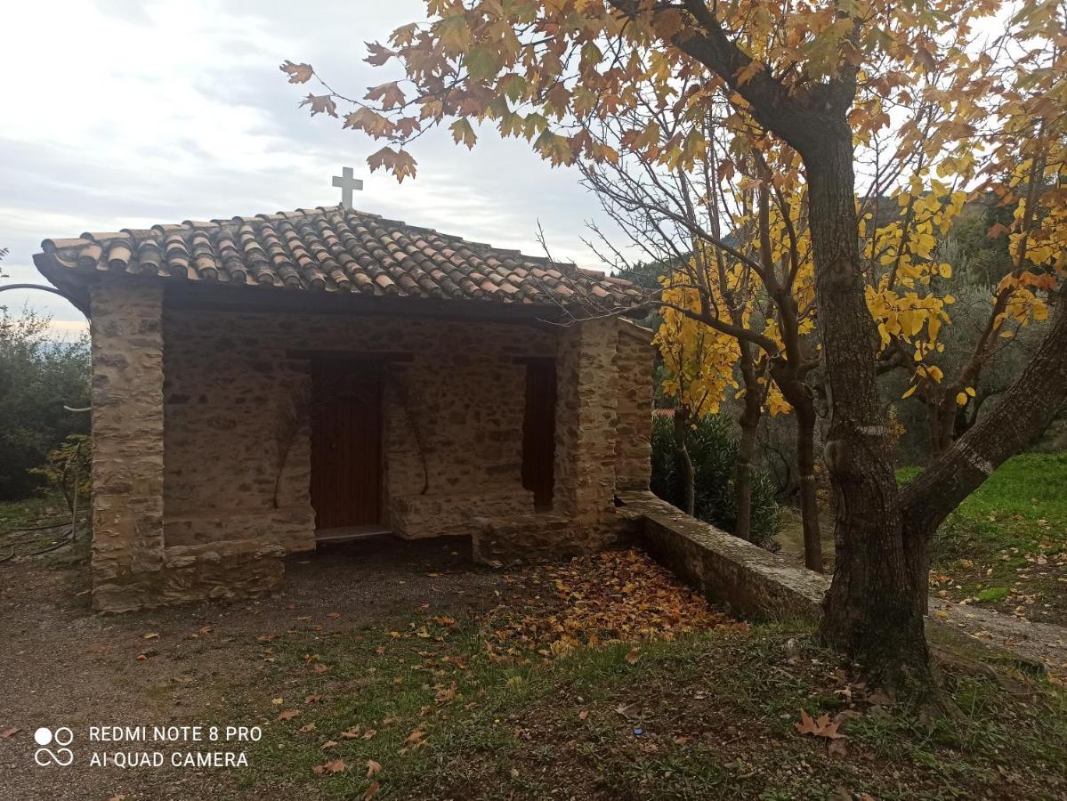 Forestrock Studio For Sale Too Sparte Extérieur photo