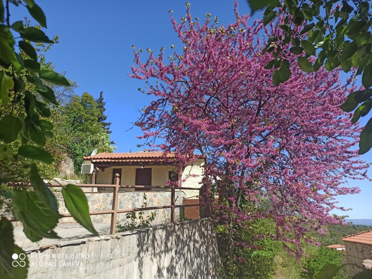Forestrock Studio For Sale Too Sparte Extérieur photo